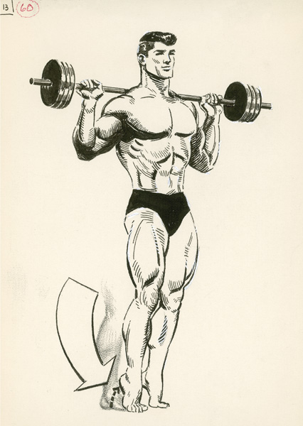 Joe Weider S Bodybuilding System Exercise Chart