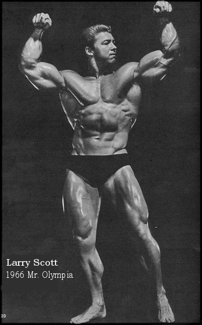 66scott